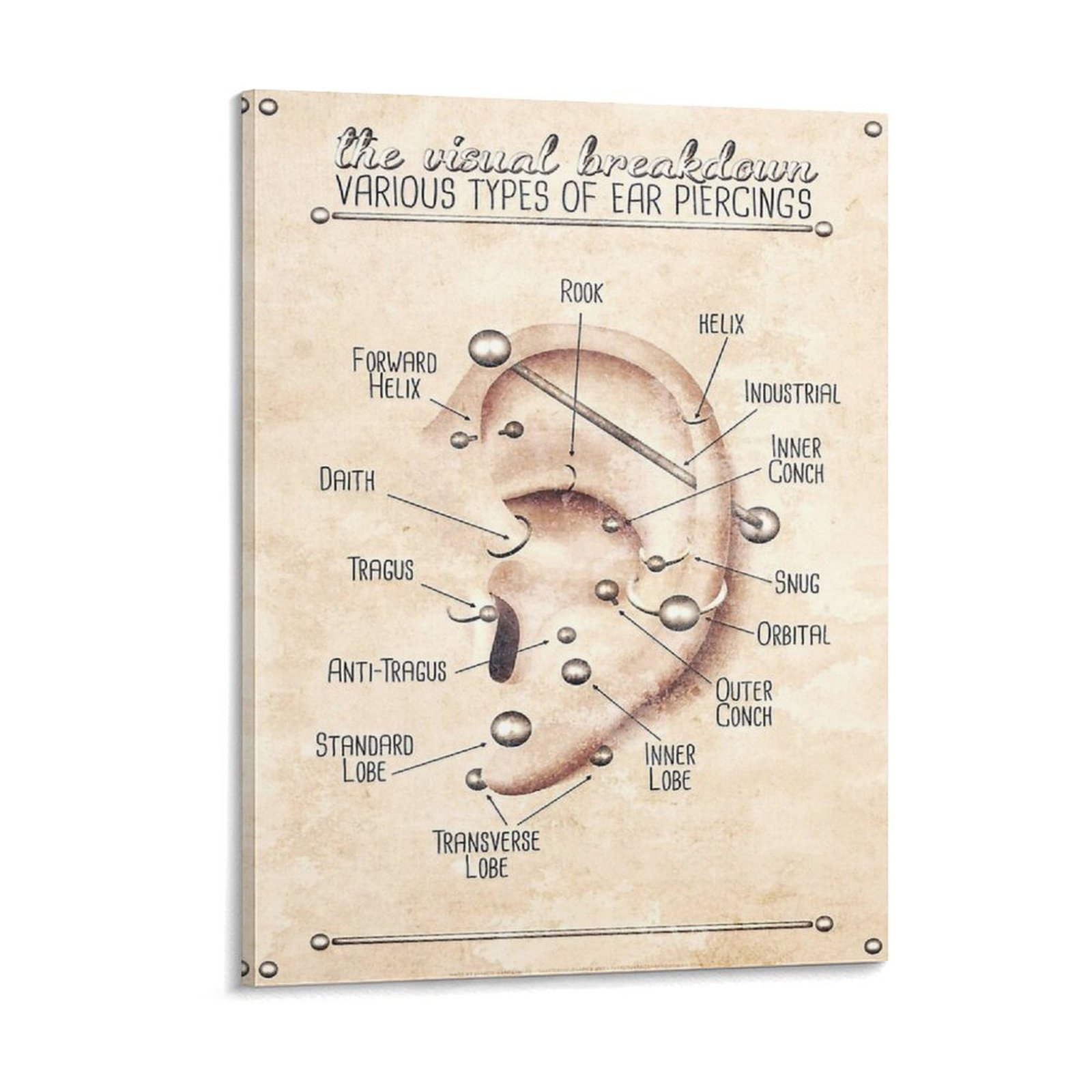 Wall Texture Spray - Ear Piercing Infographic Chart Black And