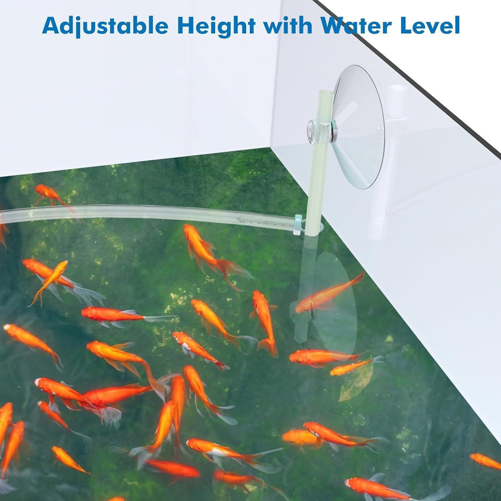 Floating Plant Fence for Fish  – Home Improvement Fence recenzja i cena