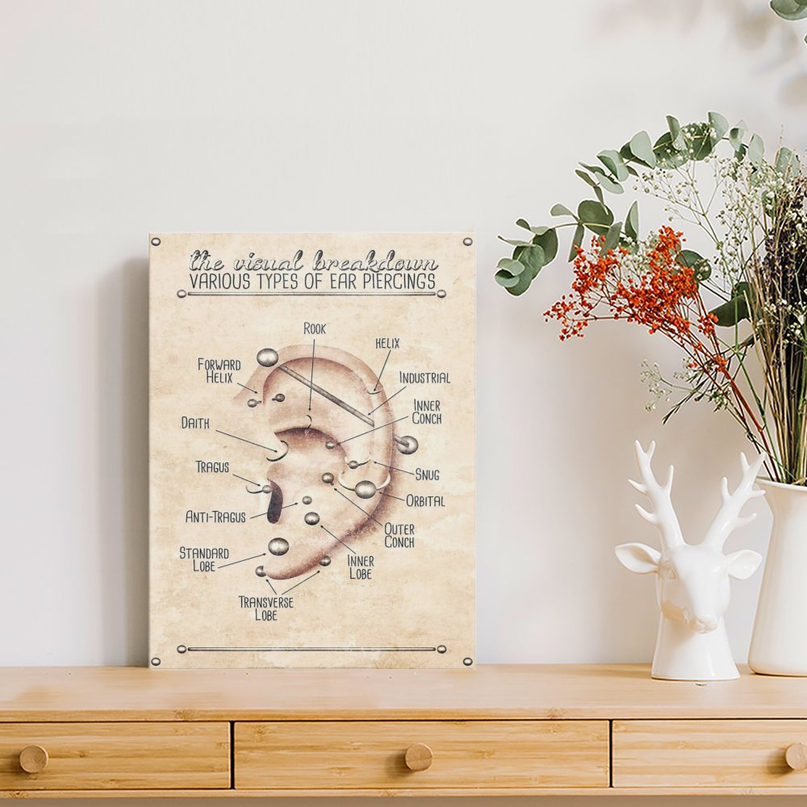 Ear Piercing Infographic Chart – Wall Texture Spray recenzja i cena