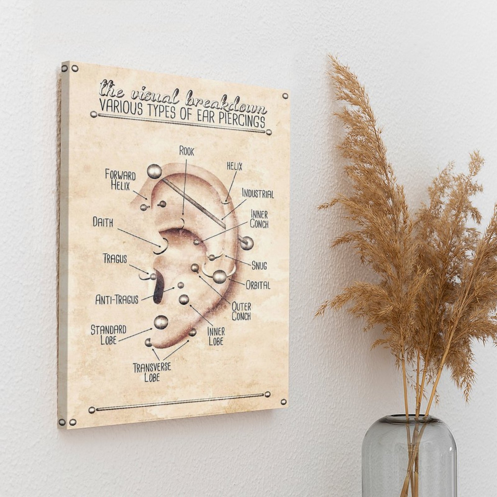 Ear Piercing Infographic Chart – Wall Texture Spray recenzja i cena